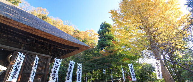 杉本寺の紅葉